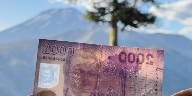 Paisaje de la Reserva Nacional Nalcas en Lonquimay comparado con la imagen del billete de dos mil pe