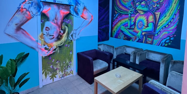 Freedom Madrid - Club social cannabis