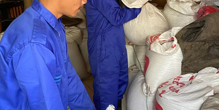 robusta green bean exporter