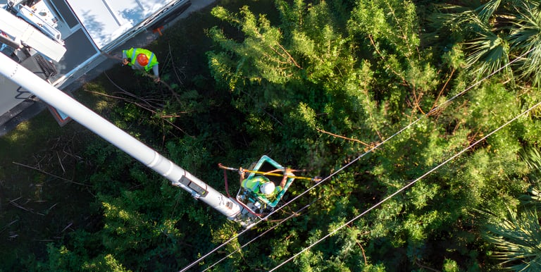 industrial vegetation control along facility access corridors