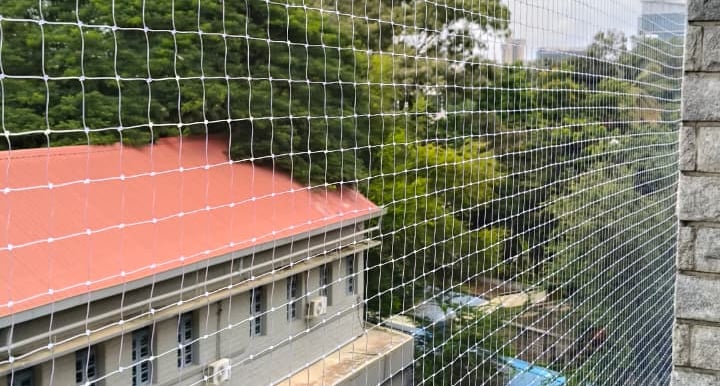 Close-up of a securely installed pigeon net on a balcony overlooking Electronic City.