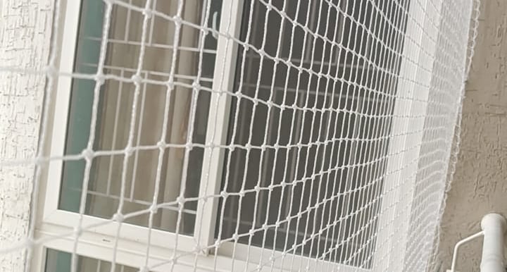 Close-up of a sturdy pigeon net firmly installed on a balcony railing in Anna Nagar.