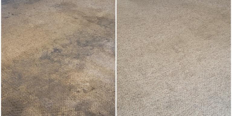 a carpeted room with a fireplace and fireplace