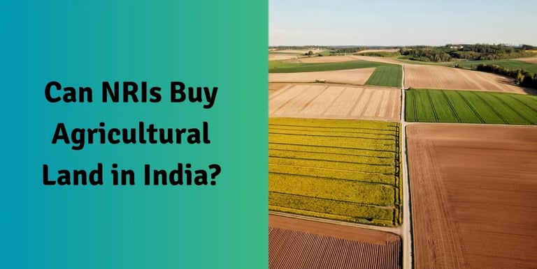 Can NRIs Buy Agricultural Land in India
