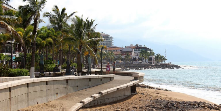 beach scene with palm trees in Puerto Vallarta