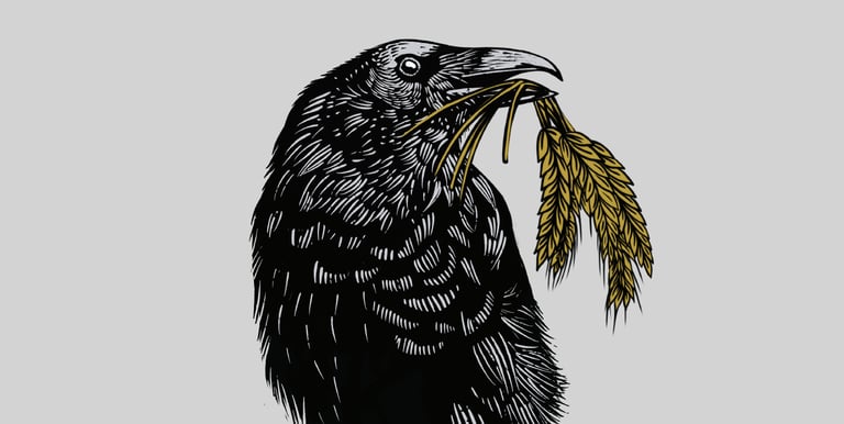  woodcut style illustration of a Crow carying barley plants