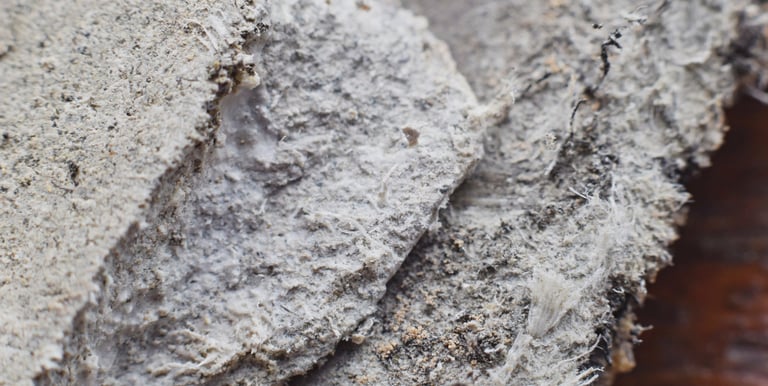 Asbestos Testing