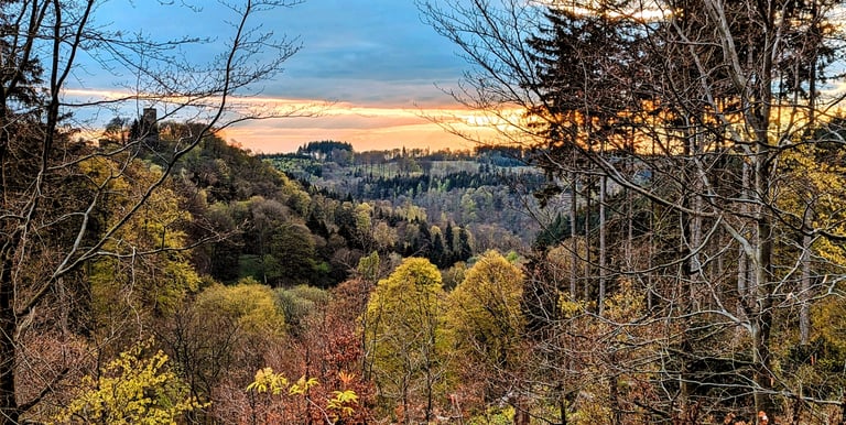 Schmittgrund im Frühling