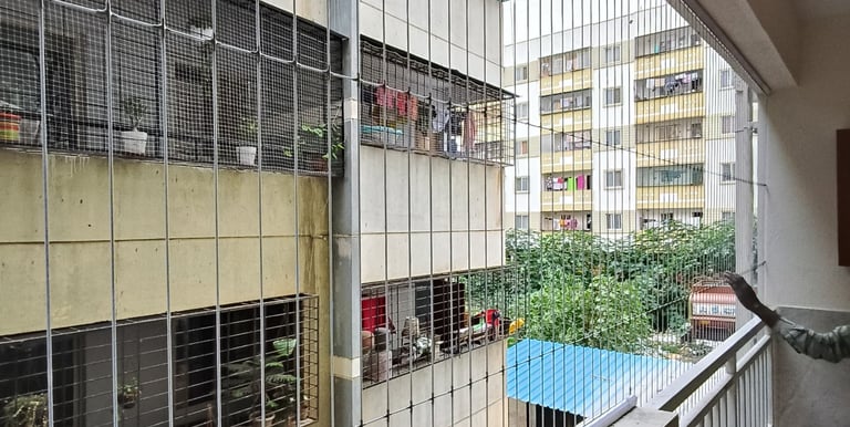 invisible grills in cooketown