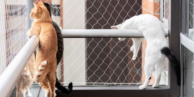 pet safety nets in bangalore