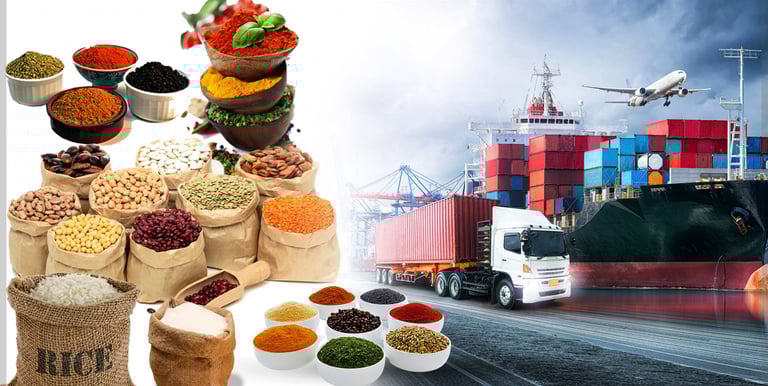 dubai importer