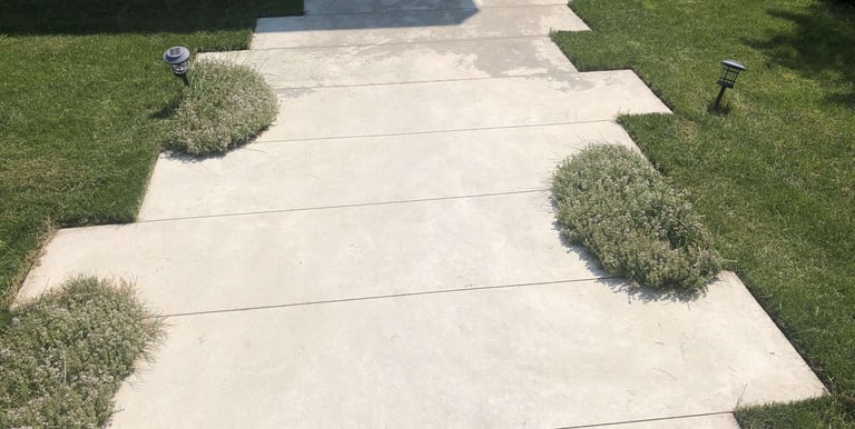 Replaced Lawn