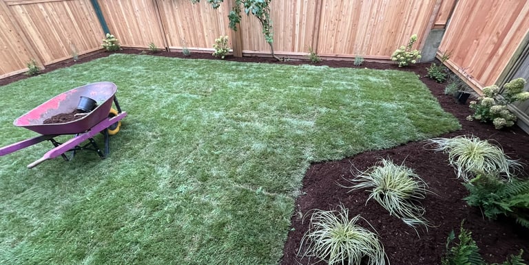 Repaired Lawn