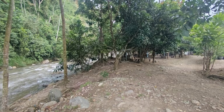 Naturaleza
