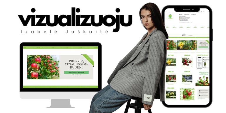vizualizuoju