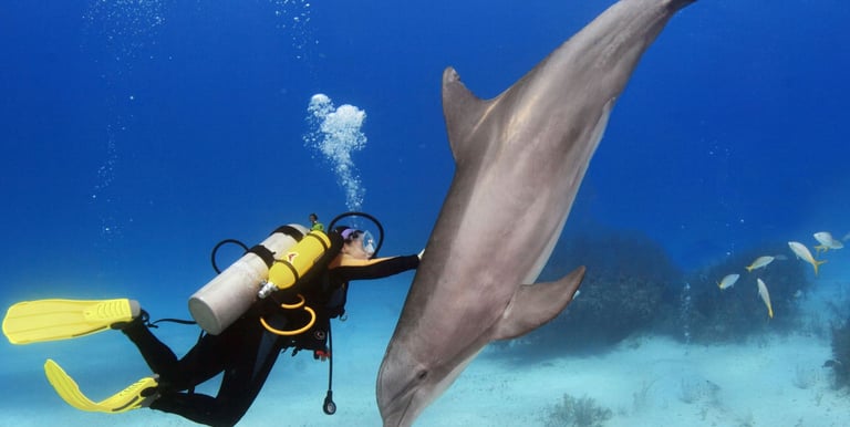 a person in a scuba suit is holding a scuba suit and a scuba diver