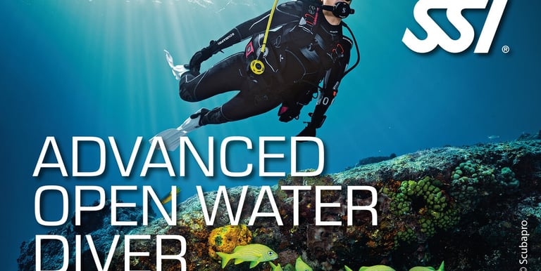 a scuba diver in a diving suit with a scuba diver in the background
