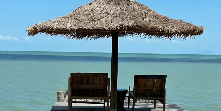 Experience thailands beach bungalows. Paradise, beach, coconut, thailand