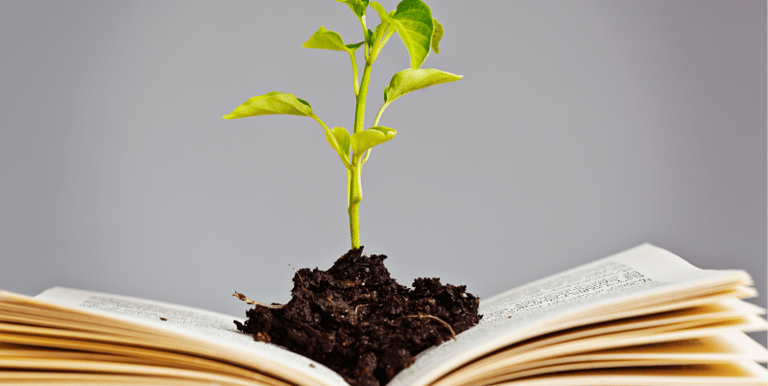 Plant growing out of a book