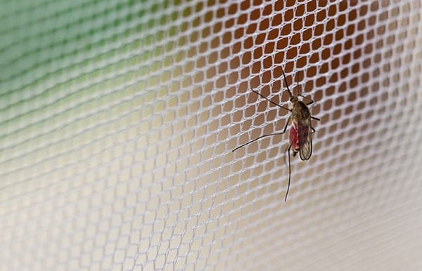 Close-up of a sturdy mosquito net frame installed on a balcony door with greenery outside.