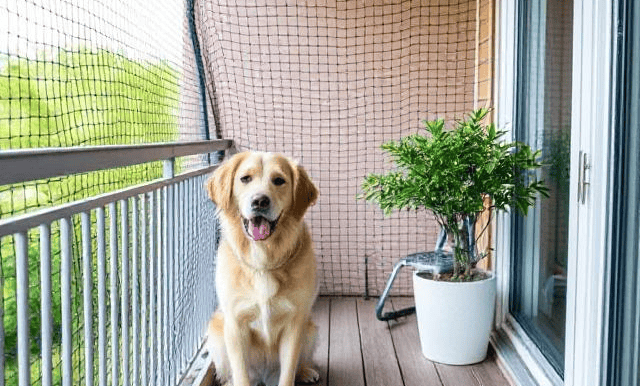 Wide shot of a modern apartment balcony fitted with durable safety nets against pigeons.