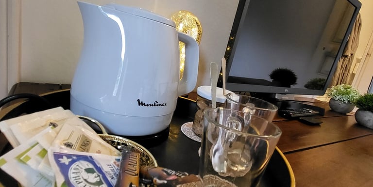 chambre chinon avec television et parking