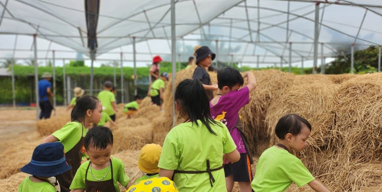 Trải nghiệm trại hè tại trung tâm can thiệp sớm