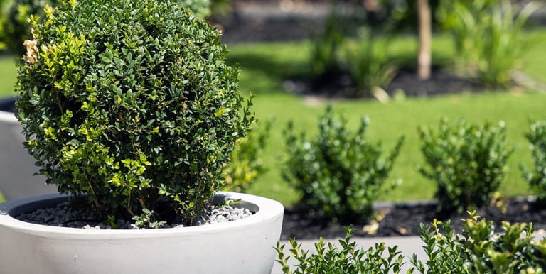 a potted planter with a potted planter
