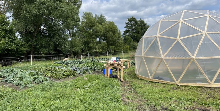 Ein Geodom im Garten als Gewächshaus mit üppig grünen Pflanzen und einem Arbeitstisch mit Werkzeug