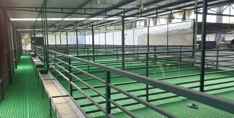 Hi tech goat farm image