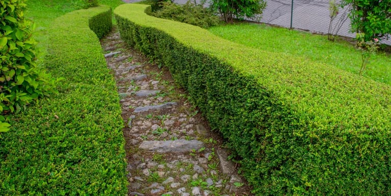 clean edging near me oklahoma