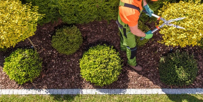 professional trimming near me oklahoma