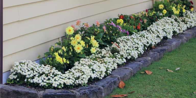 professional landscaping services