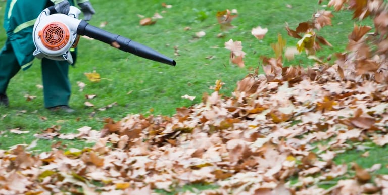 lawn cleanup services near me oklahoma