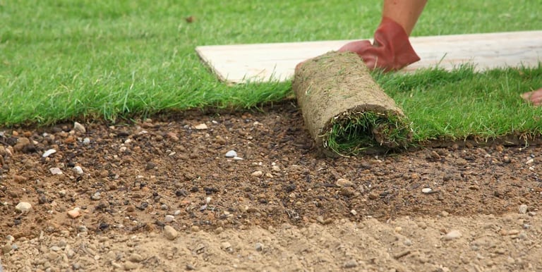 affordable landscaping services