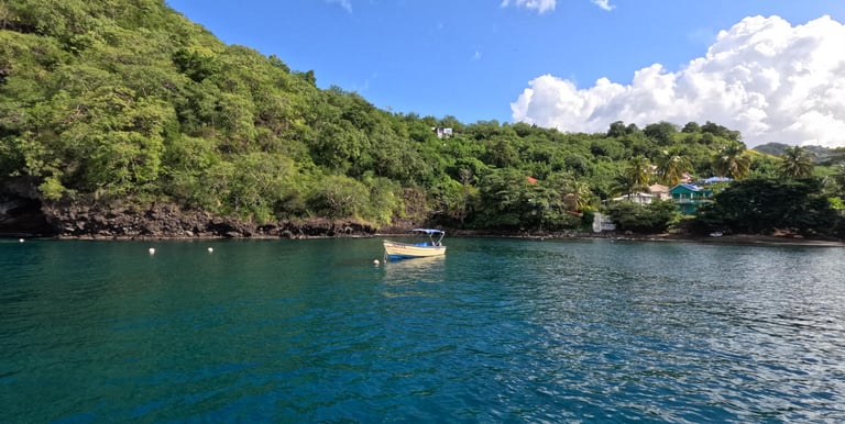 Karibik Katamarantörn