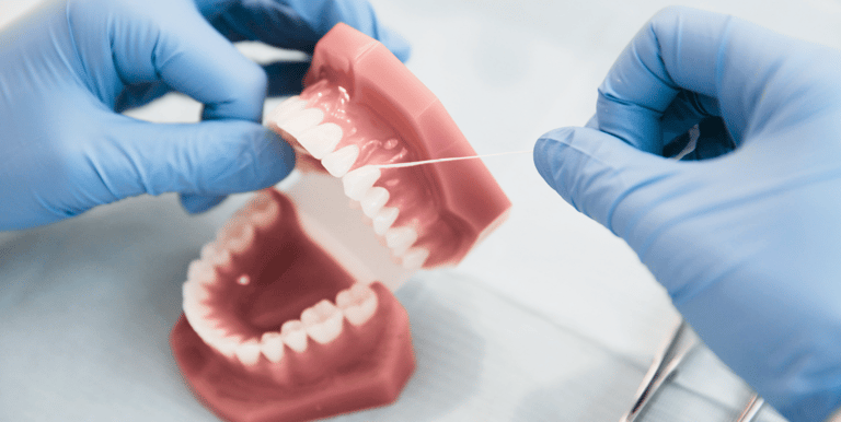 demonstration of flossing on a model