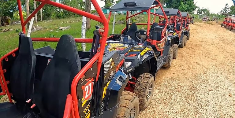 Dune Buggy Adventure