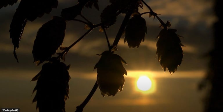 a sun setting on a cloudy day with the sun setting