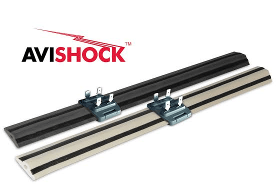 avishock picture
