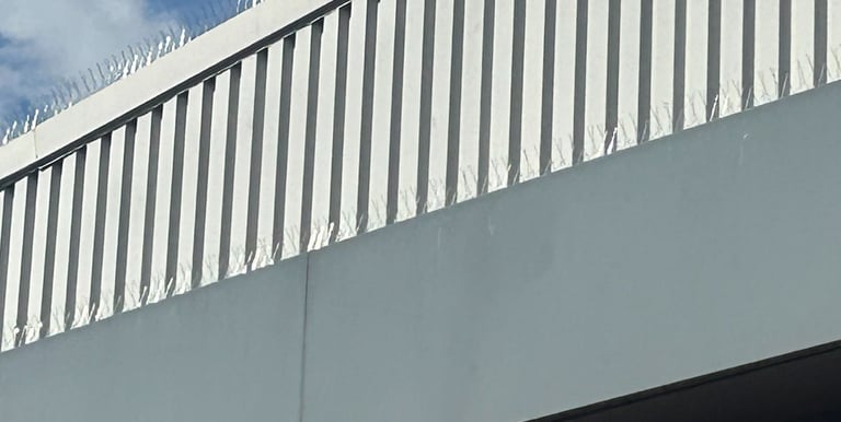 bird spikes on a ledge of commercial building