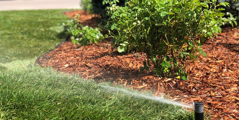 Buffalo Wyoming Landscaping