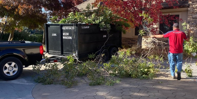 Yard  Cleanups