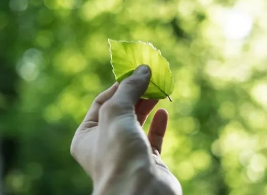 eco-friendly solutions, cuh2o,