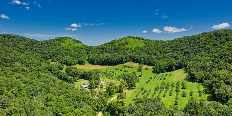 Arcadia Enviromental residential, rural, commercial properties and subdivisions