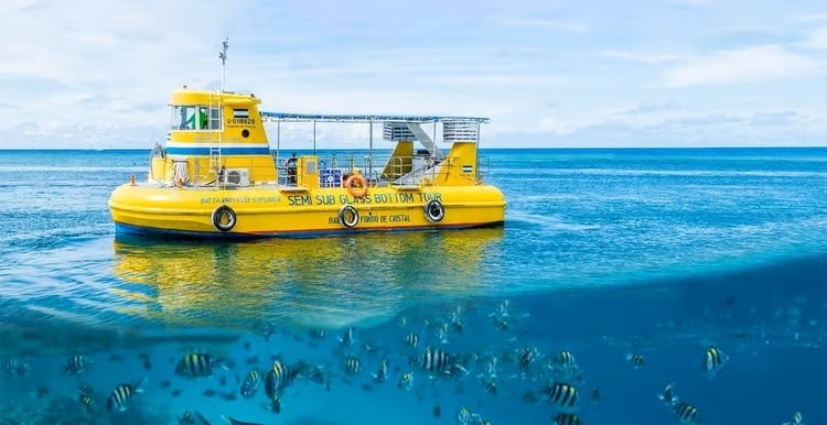Glass Bottom Boat Roatan