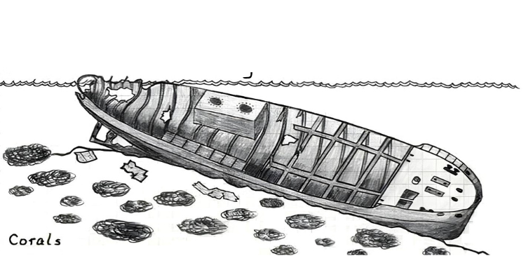 Lusong Gunboat Coron — shallow WWII wreck covered in hard coral, accessible to snorkellers