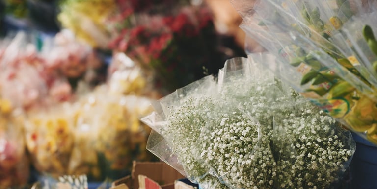 flores al por mayor manizales