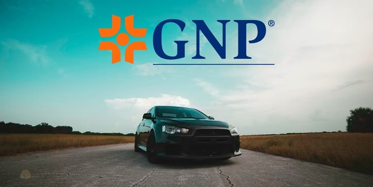 Seguro para visitantes a mexico GNP