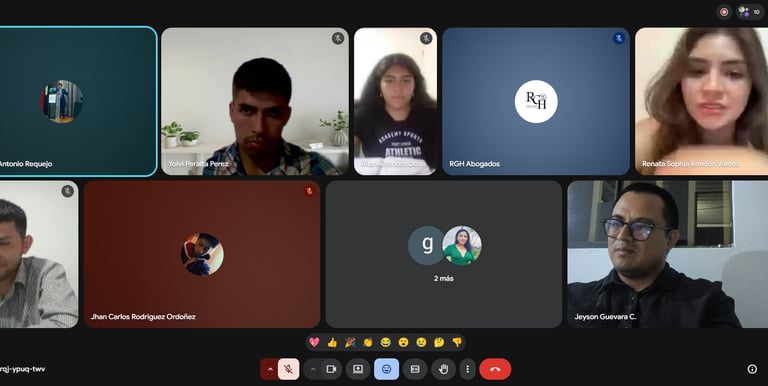 Screenshot of a professional virtual meeting on Google Meet with multiple participants in a grid view.